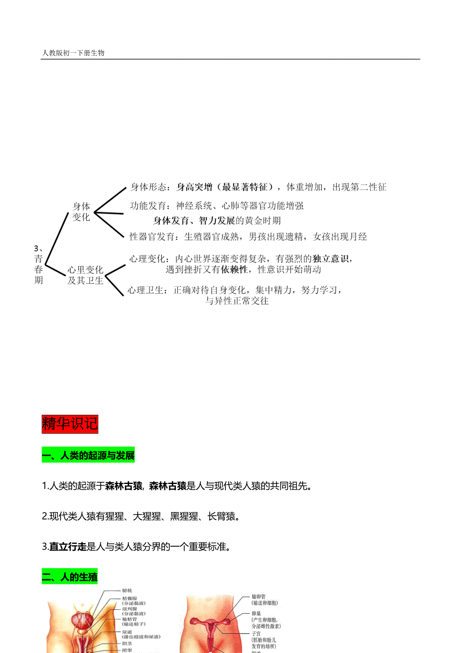 初一下册生物每章思维导图+精华知识_第2页