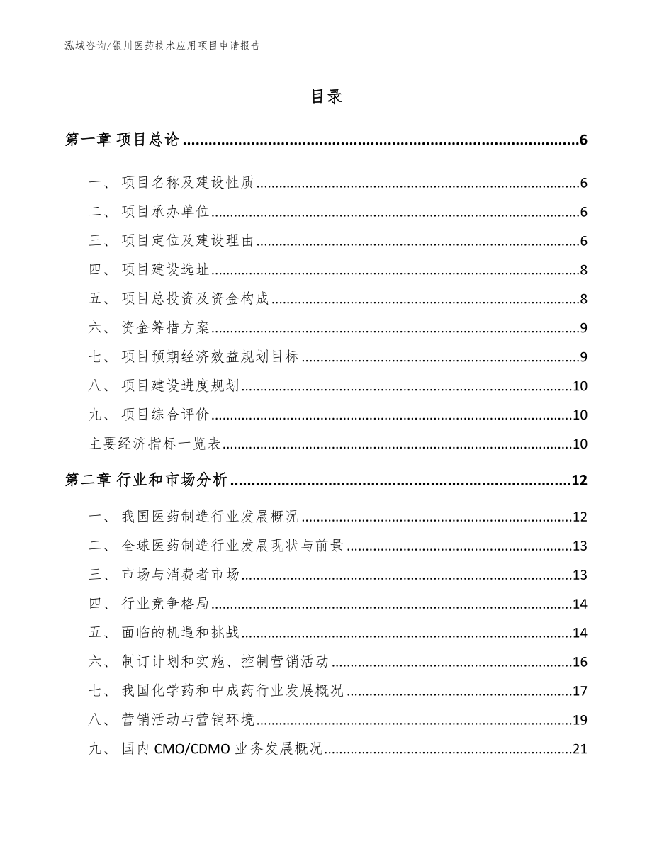 银川医药技术应用项目申请报告（参考模板）_第1页