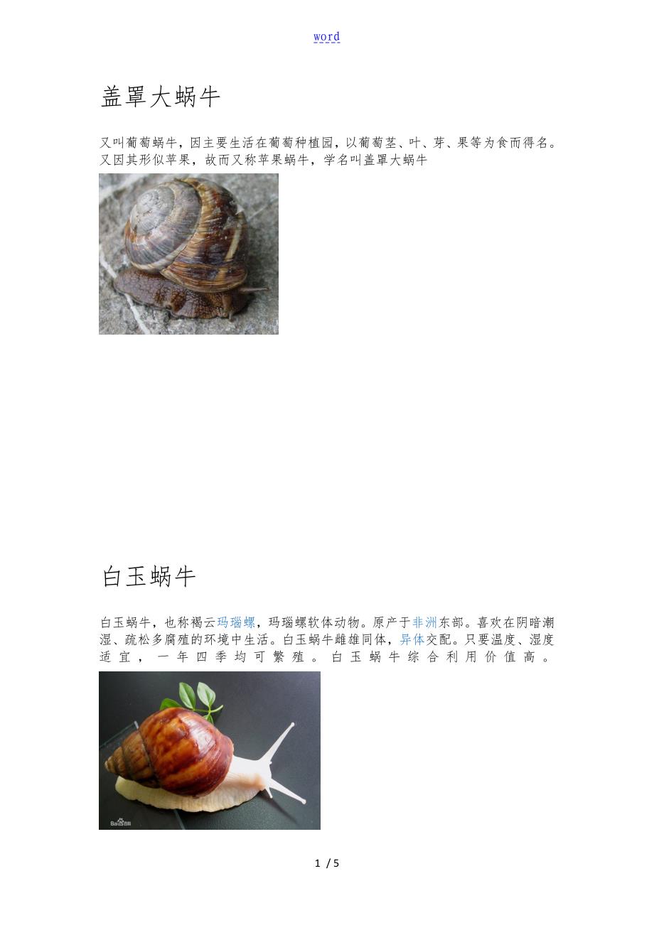 蜗牛分类介绍_第1页