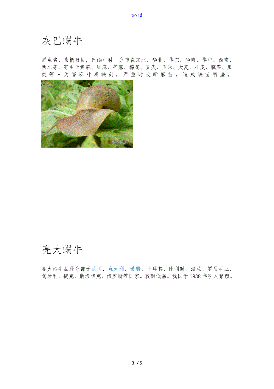 蜗牛分类介绍_第3页