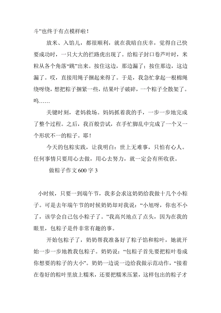 最新整理做粽子作文600字8584_第3页