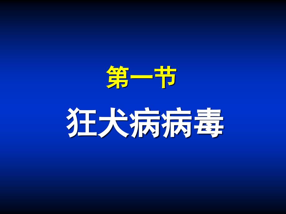 第34章其他病毒1_第2页