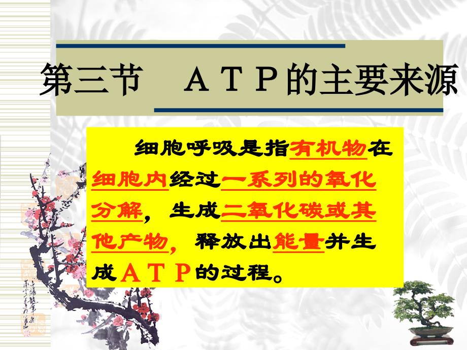 5.3ATP的主要来源──细胞呼吸课件_第2页