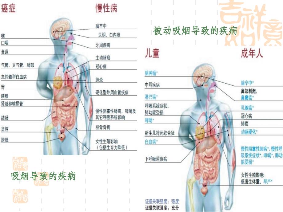 戒烟门诊和门诊戒烟的干预_第2页