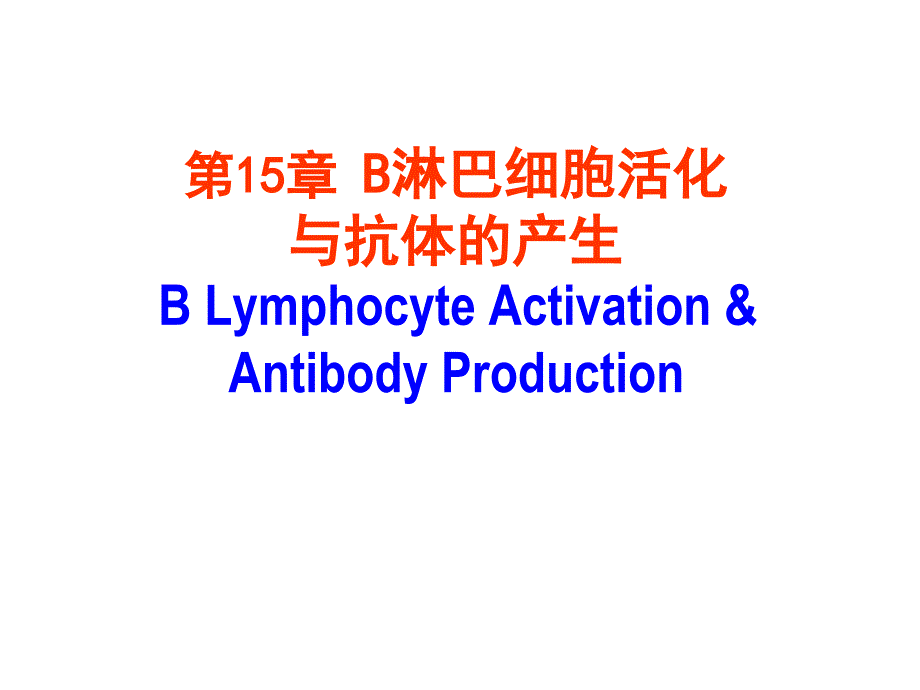 《B淋巴细胞活化》PPT课件.ppt_第1页