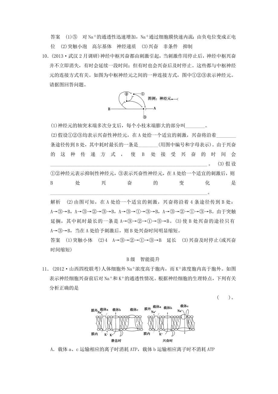 2014届高考生物一轮限时规范训练 1-2 通过神经系统的调节（含解析）新人教版必修3_第5页