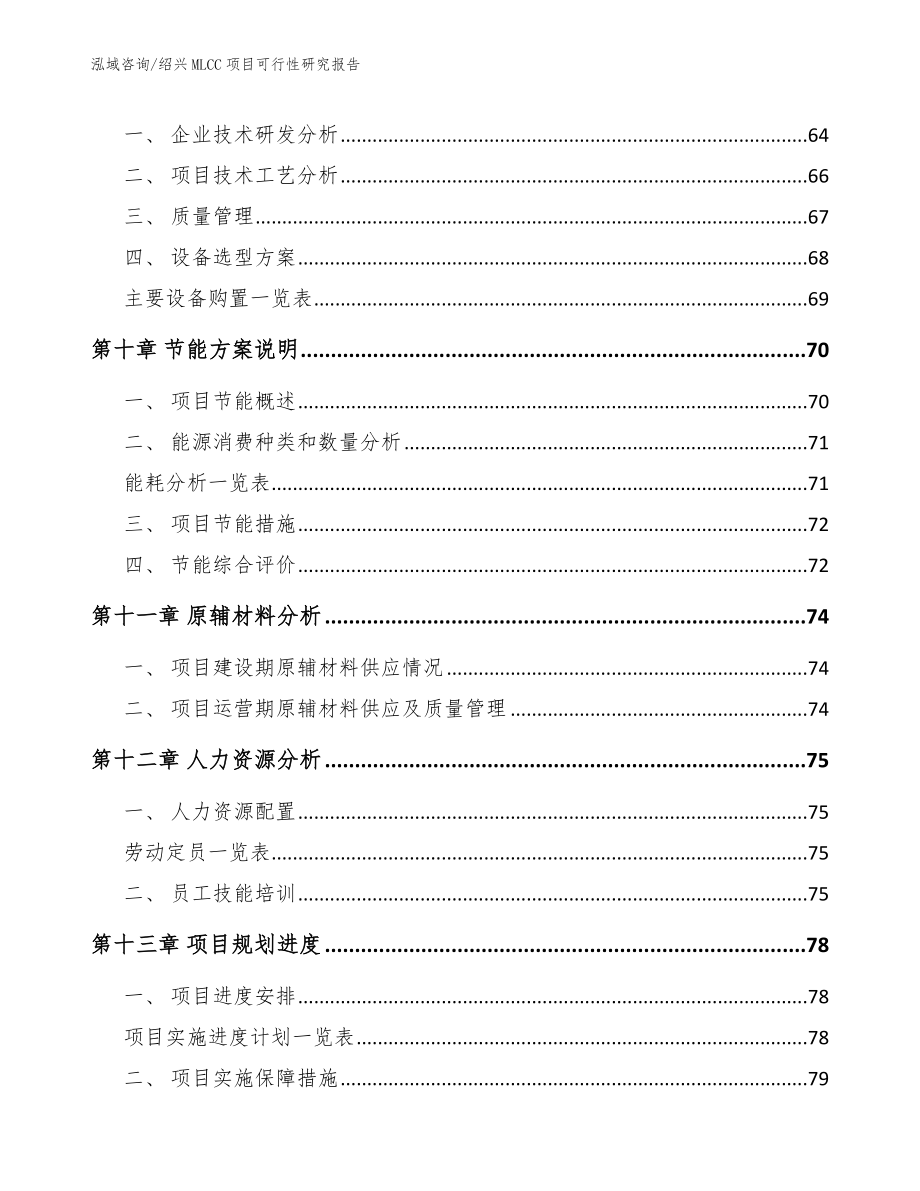 绍兴MLCC项目可行性研究报告模板_第4页