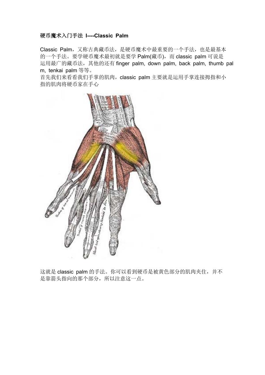 魔术硬币手法教学_第2页