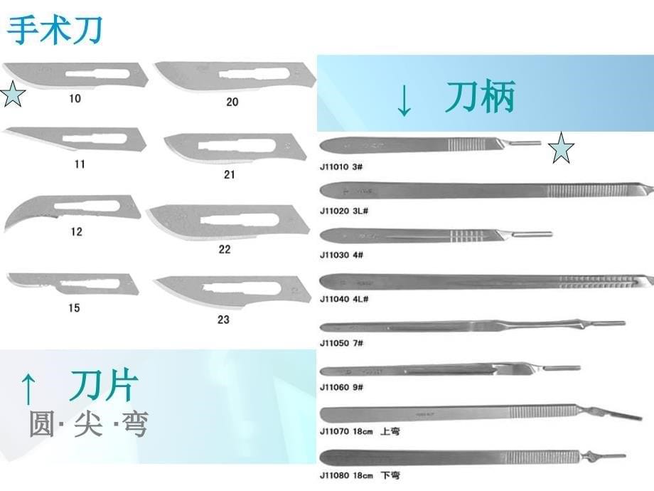 实验生理科学：外科手术规范操作V_第5页