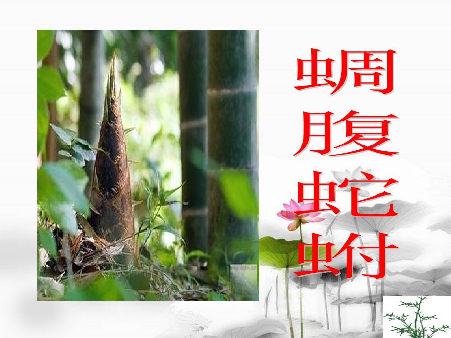 文与可画筼筜谷偃竹记(精选文段讲析).ppt_第3页