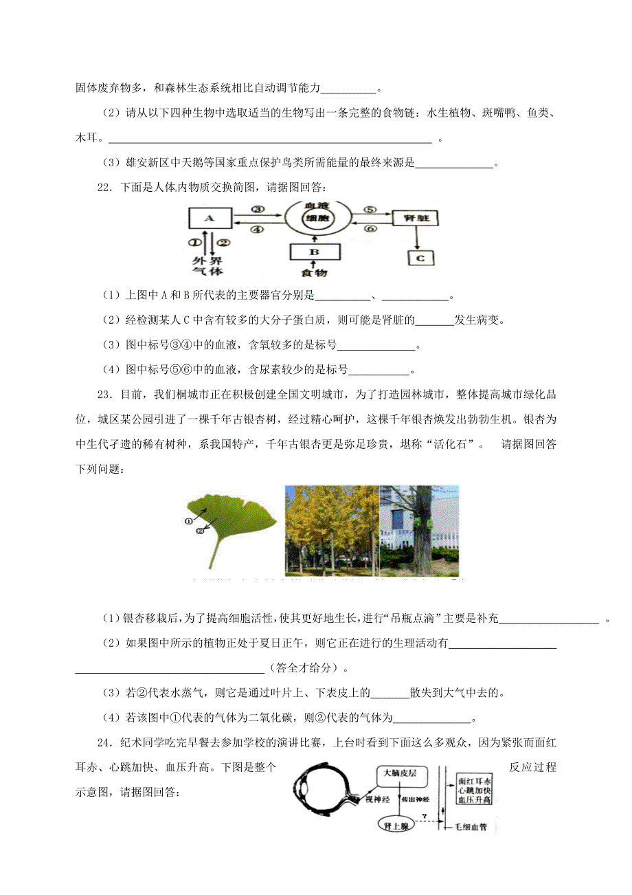 2019-2020年八年级生物下学期期中试题新人教版-(III).doc_第4页