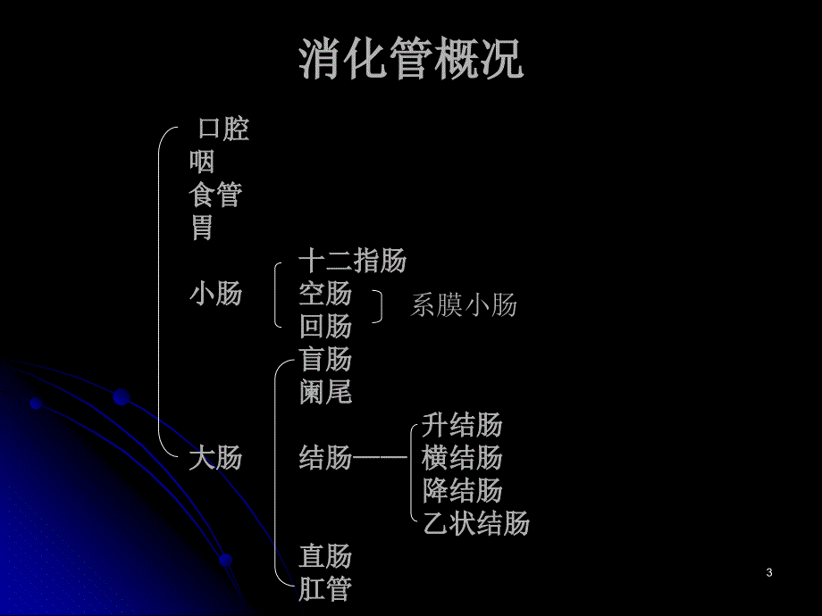 部分小肠结肠_第3页