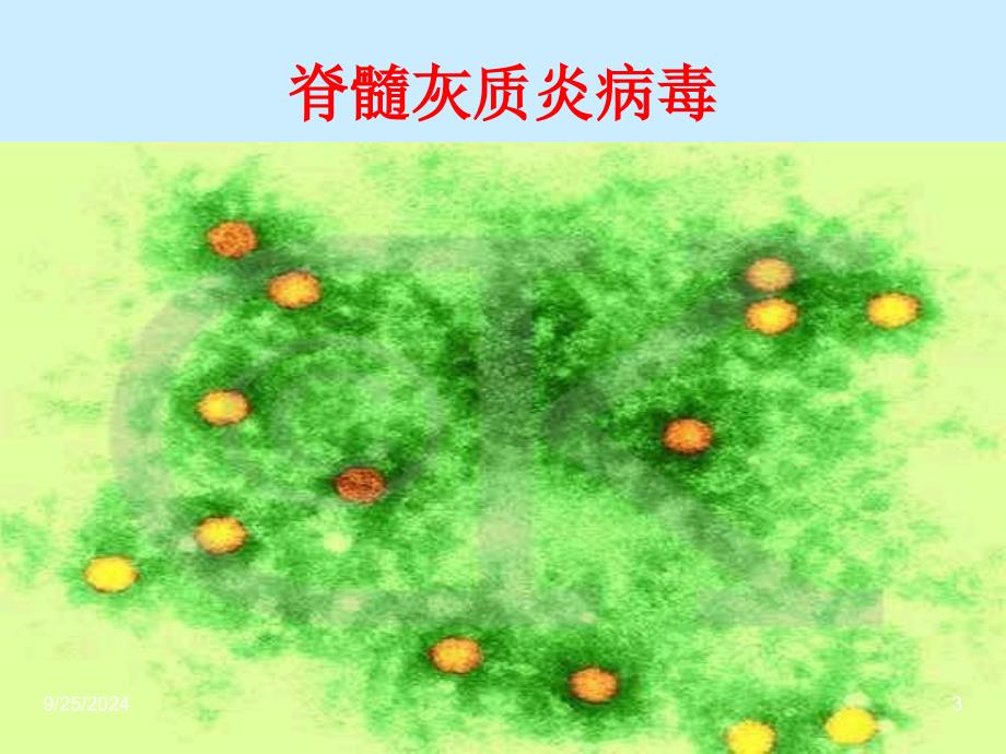 生物上册240没有细胞结构的微小生物病毒_第3页