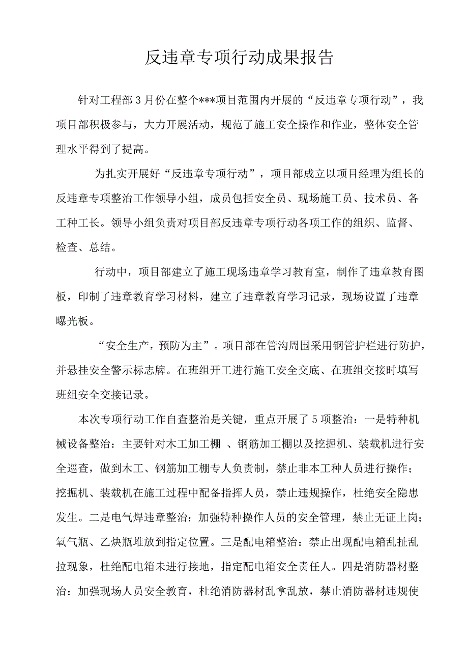 反违章专项行动成果报告_第1页