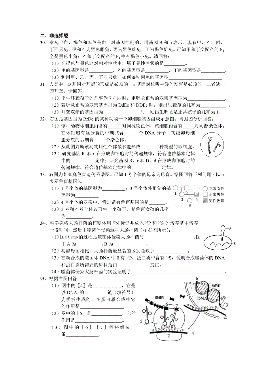 高一年级生物必修二综合检测试题及答案_第4页