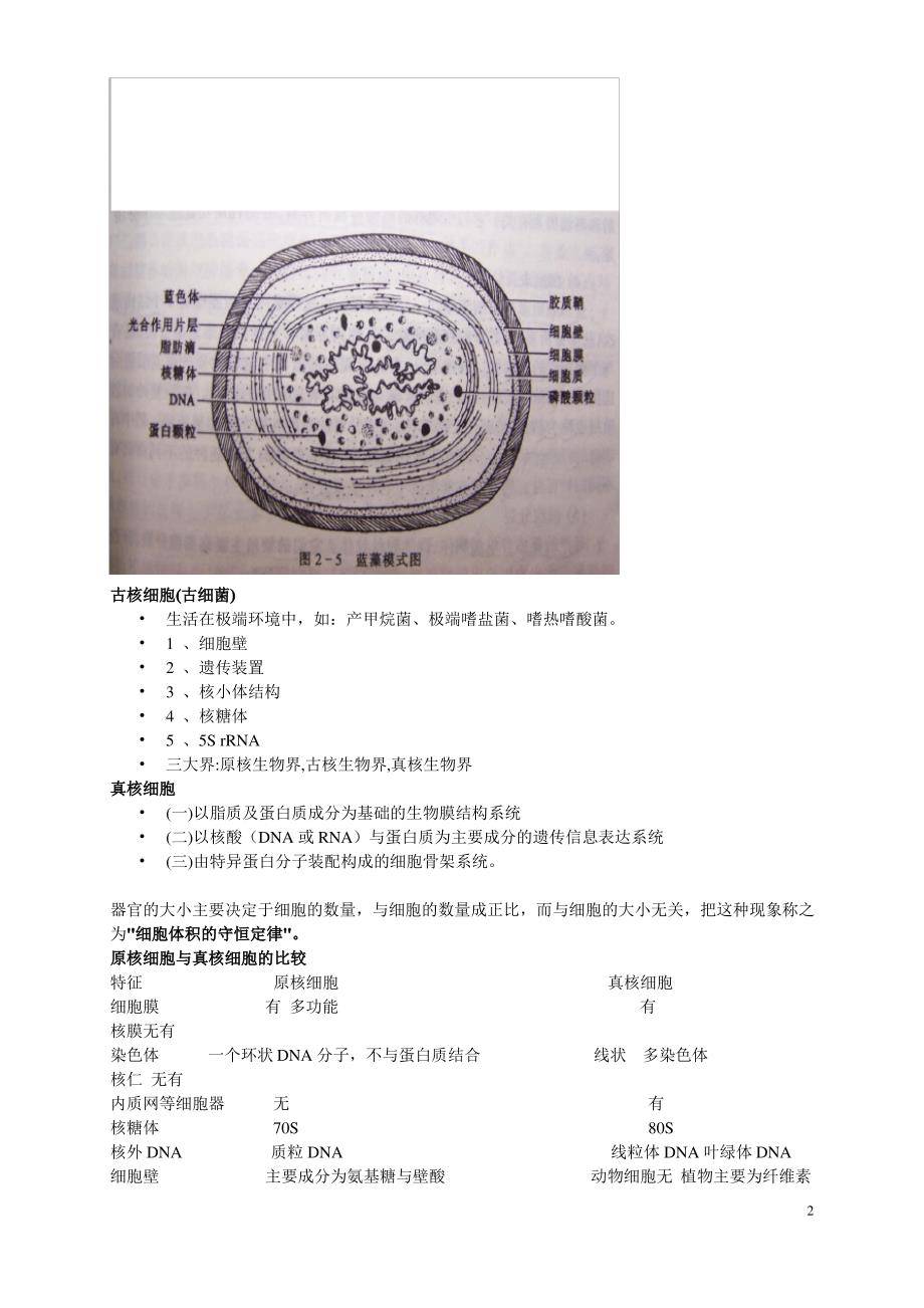 细胞生物学知识点总结_第2页