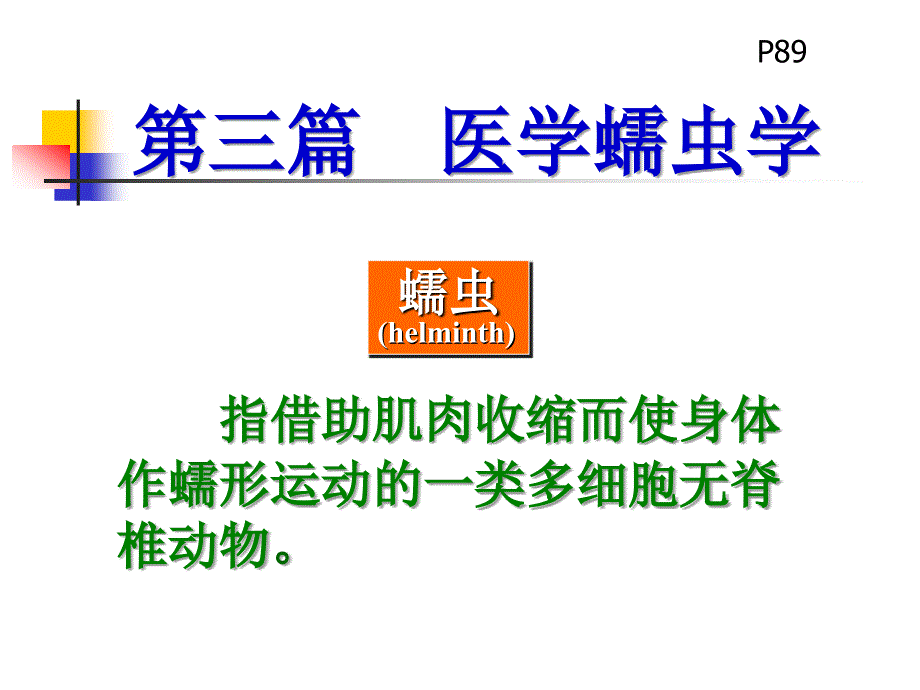 2022蛔虫鞭虫蛲虫钩虫_第1页