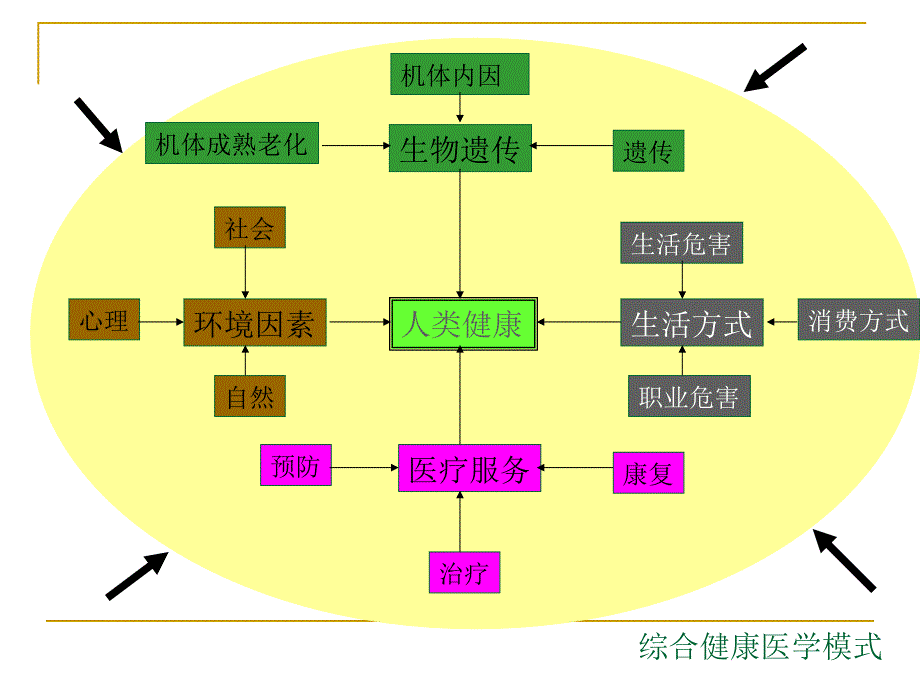 行为生活方式与健康PPT课件_第3页