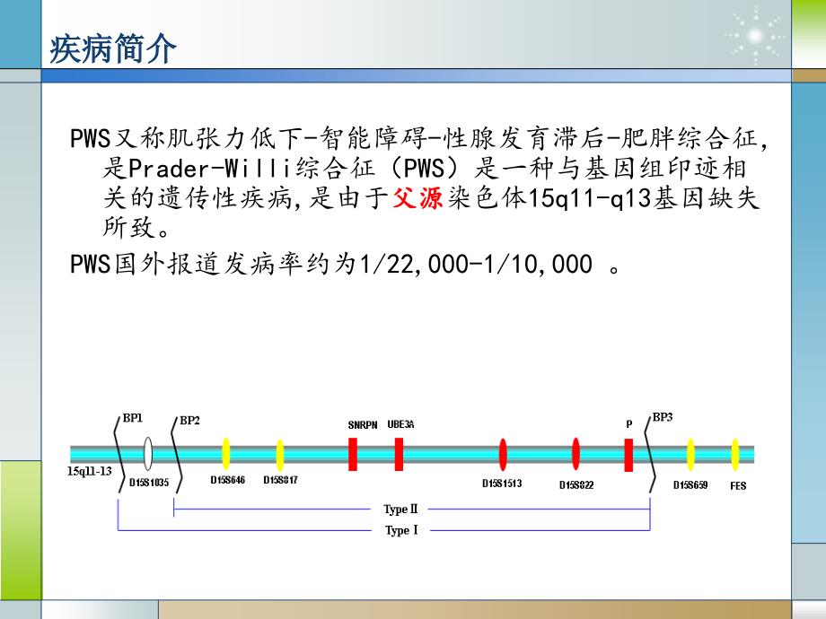 Prader-Willi综合征电子教案_第2页