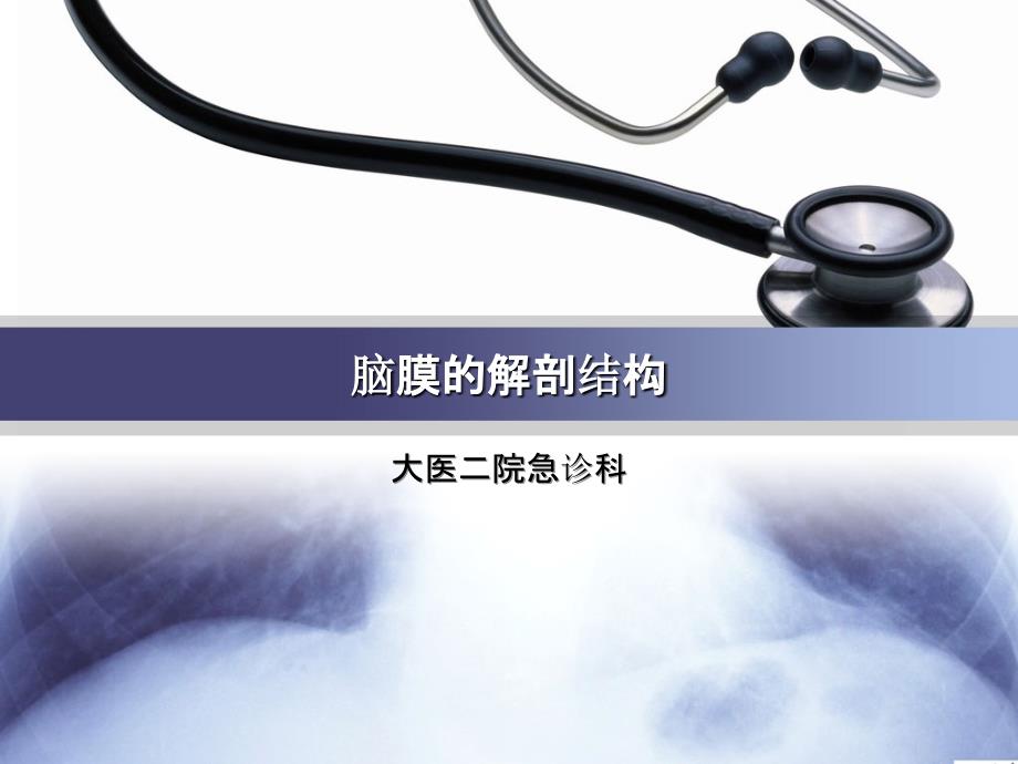 脑膜的解剖结构最新版本_第1页
