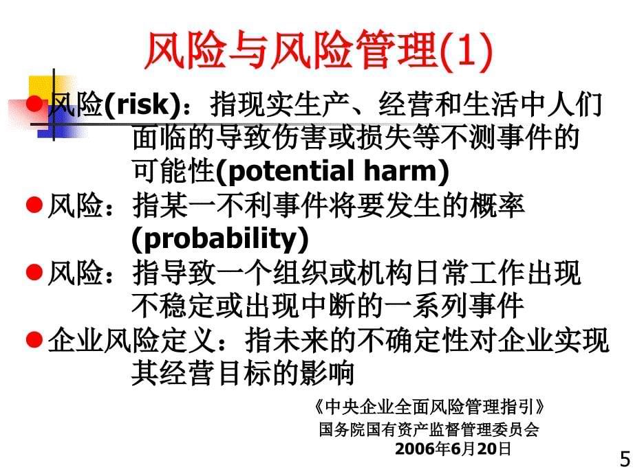 药品风险管理的技术标准与规范曾繁典中科技大学同济医学院_第5页