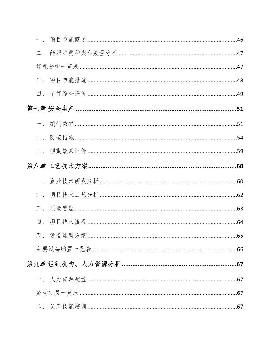 石家庄工业软包装膜项目可行性研究报告_第5页