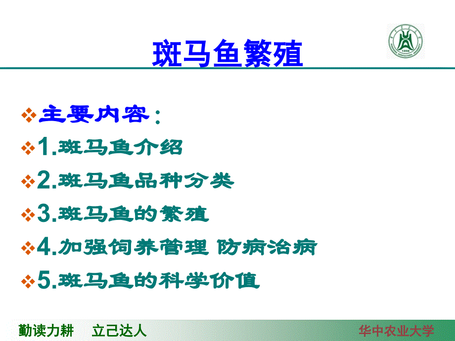 斑马鱼的繁殖_第4页