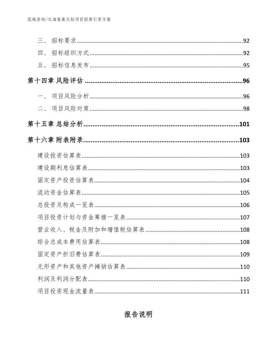 北海氢氧化钴项目招商引资方案_第5页