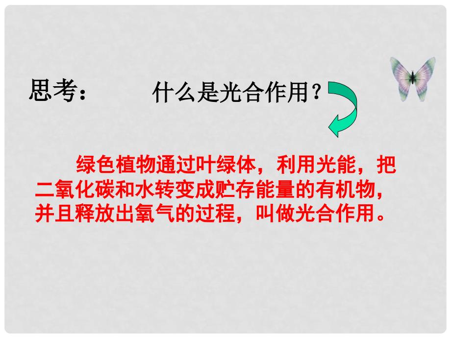 七年级生物上册 第6章植物的光合作用和呼吸作用复习课件 苏教版_第2页