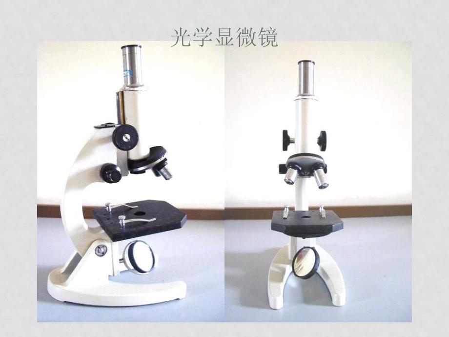 七年级生物 第二单元第一章第一节　练习使用显微镜1 课件人教版_第2页