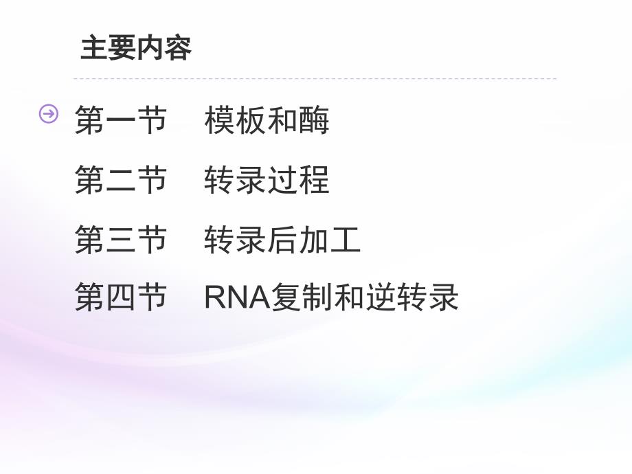 生物化学RNA的生物合成和加工_第4页