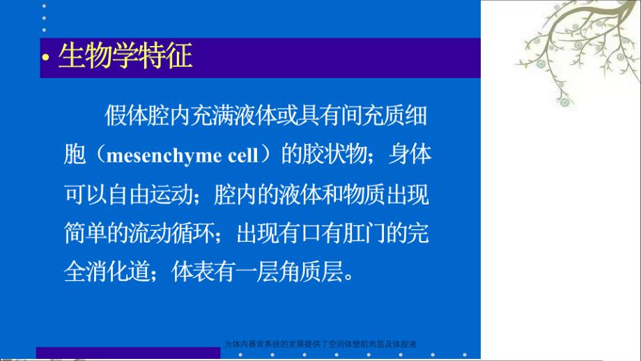 为体内器官系统的发展提供了空间体壁肌肉层及体腔液_第3页