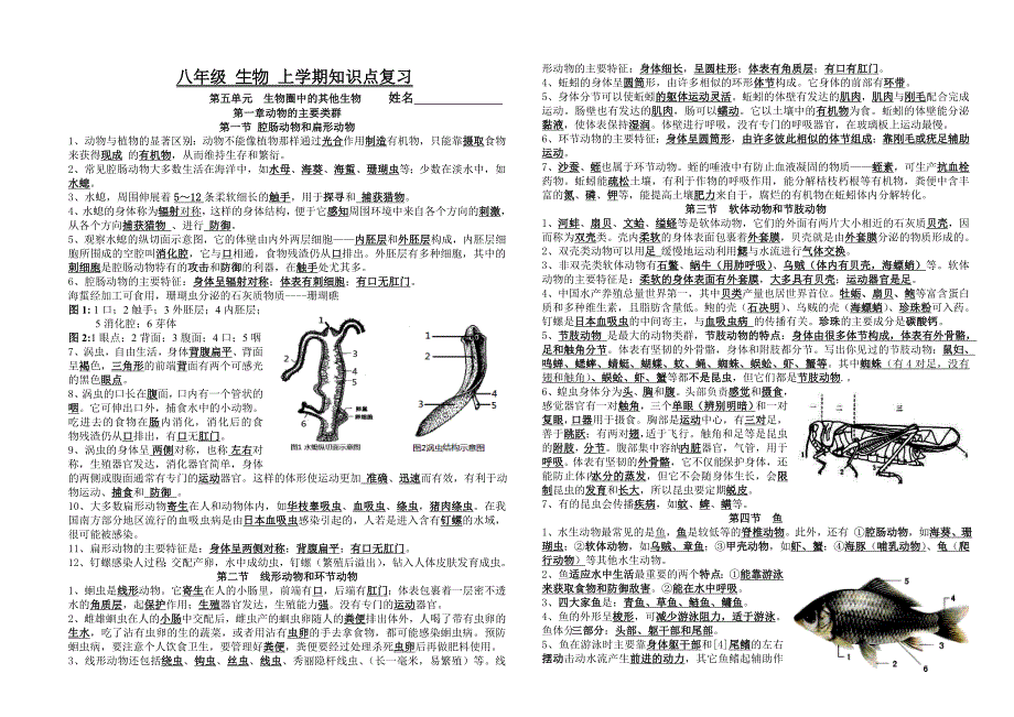 人教版版八年级生物上册全册知识点归纳_第1页