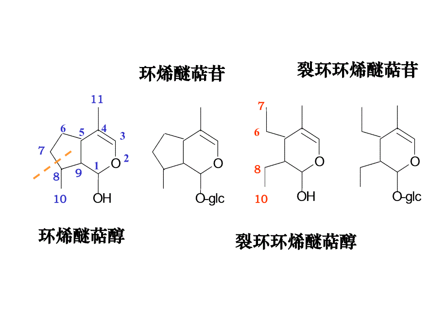 南方医科大学第六讲2课件_第2页