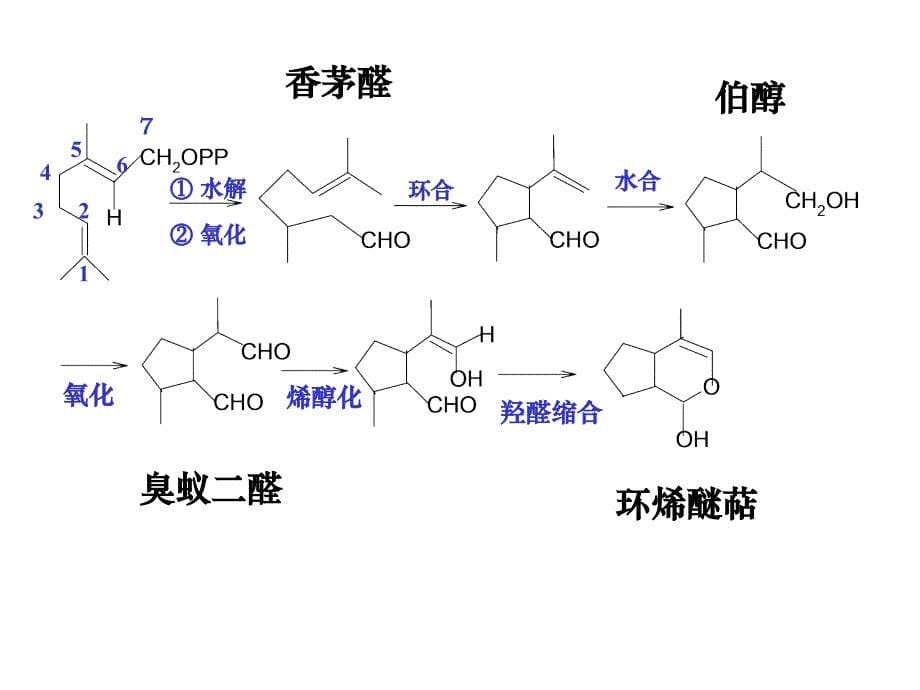 南方医科大学第六讲2课件_第5页