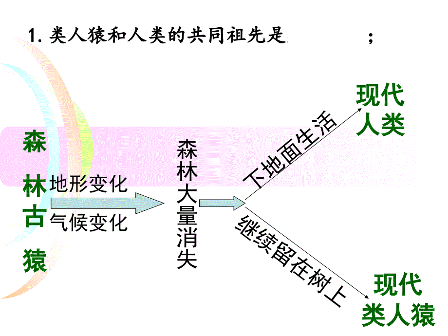 七年级下册生物期中复习_第2页