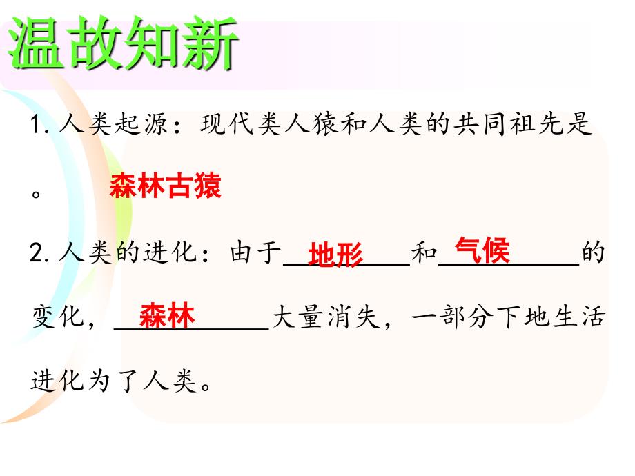 七年级下册生物期中复习_第3页