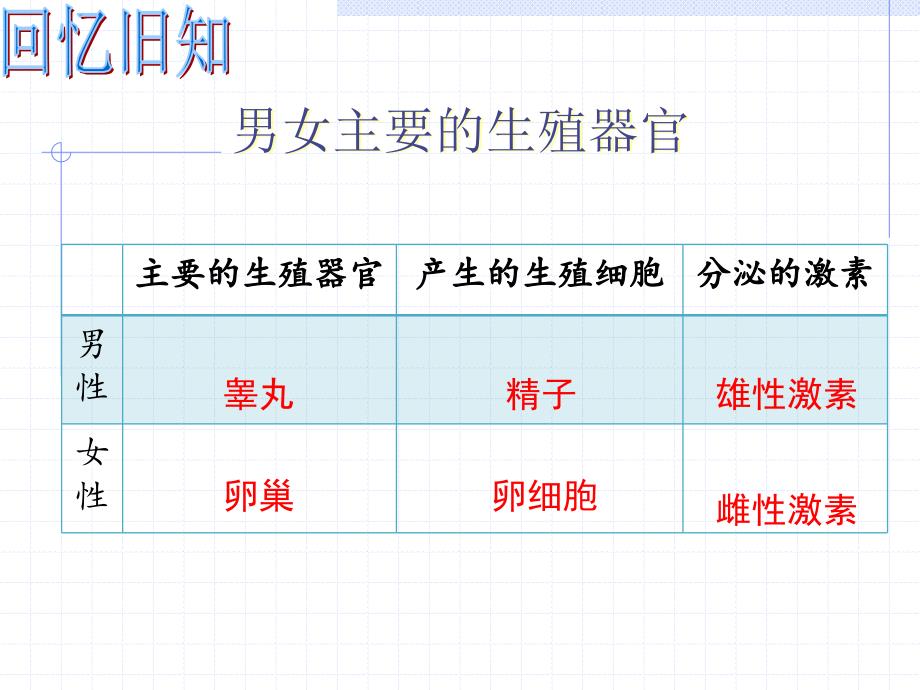 七年级下册生物期中复习_第4页