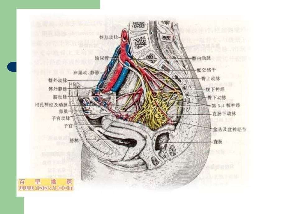 骨盆骨折的手术护理_第5页