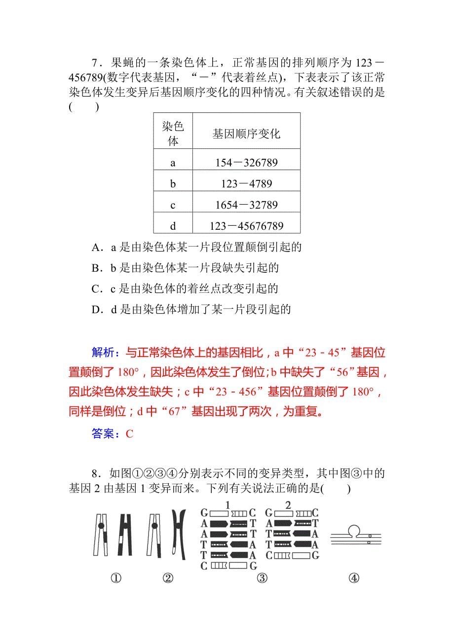 2015届高三生物第一轮细致复习学案：23《染色体变异》.doc_第5页