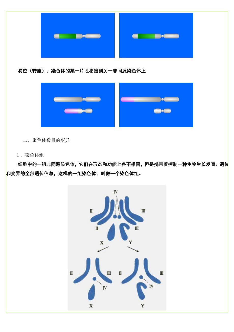 染色体变异要点.doc_第2页