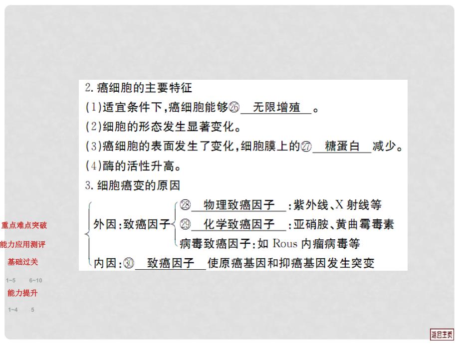 高考生物 6.2 细胞的分化、衰老、凋亡和癌变复习课件_第4页