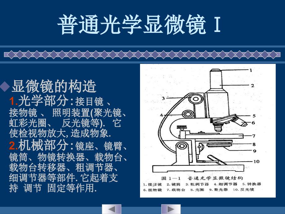 实验一显微镜油镜的使用和细菌形态的观察_第4页