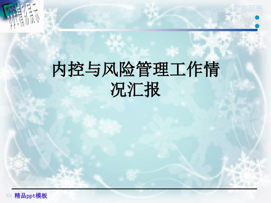 内控与风险管理工作情况汇报课件_第1页