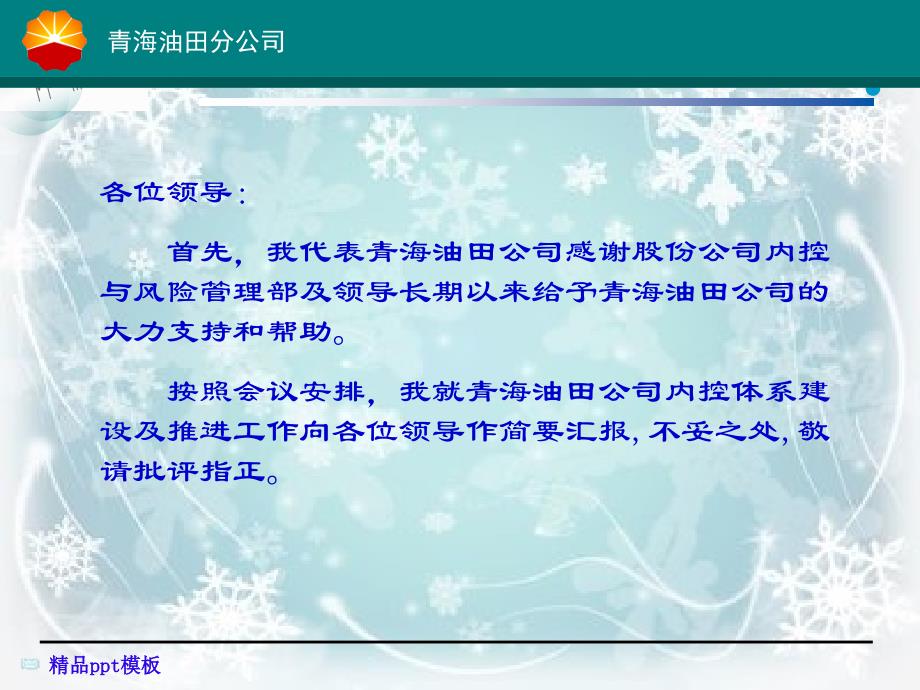 内控与风险管理工作情况汇报课件_第2页