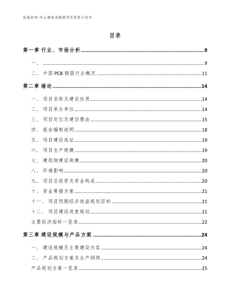 舟山锂电池铜箔项目投资计划书_模板参考