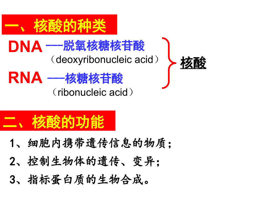 人教版高中生物必修一课件2.3 遗传信息的携带者核酸 (共24张PPT)_第4页