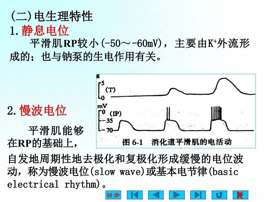 消化与吸收课件_第5页