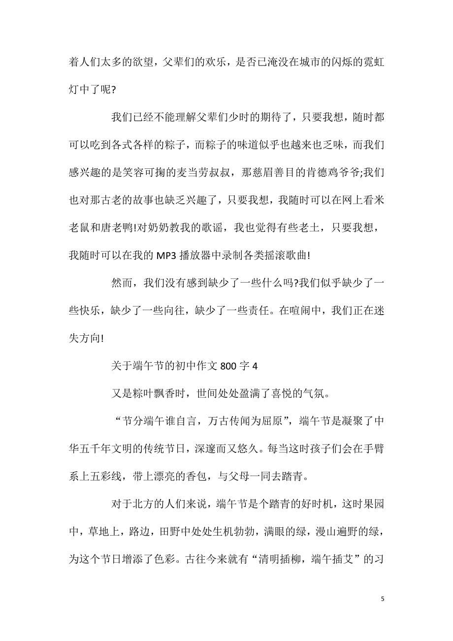 关于端午节的初中作文800字.doc_第5页