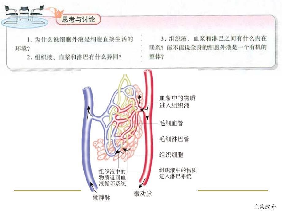 1-1细胞生活的环境_第5页